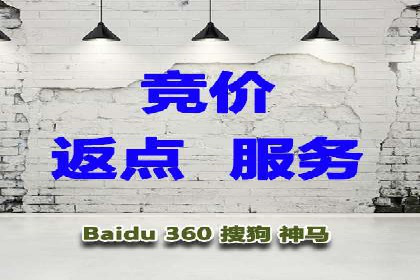 竞价代运营的案例研究：如何精准投放广告并获得回报